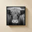 Nez de vache BW-130877902