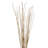36'' Plant