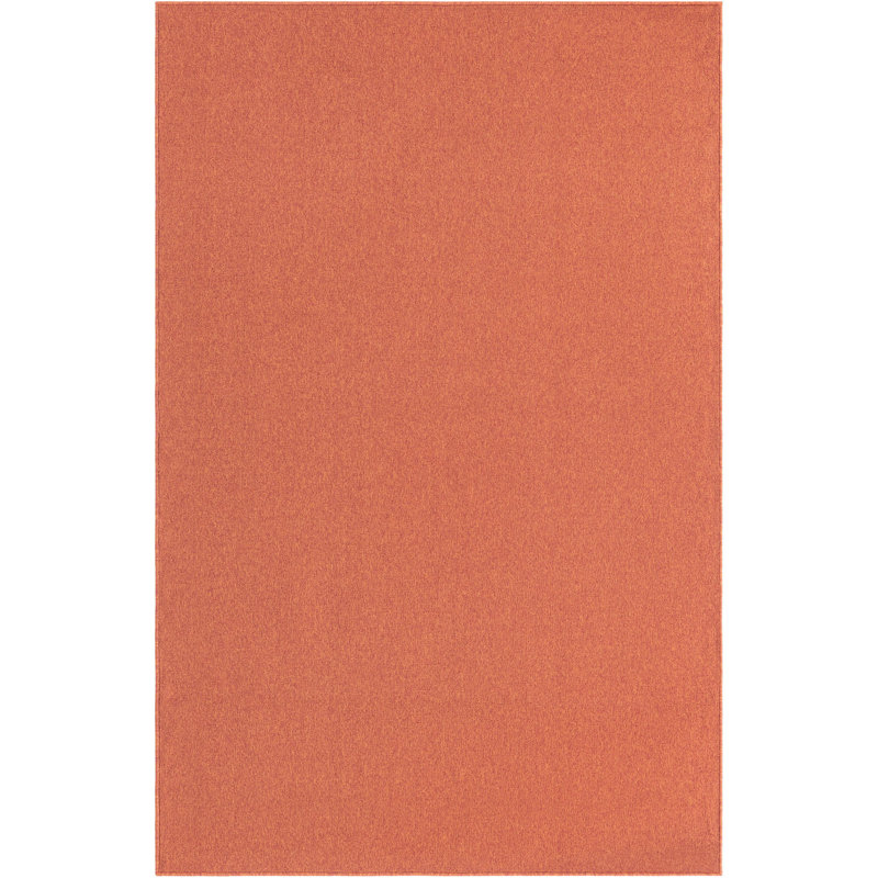 Indoor Rug, Rectangle 5'3" x 8'