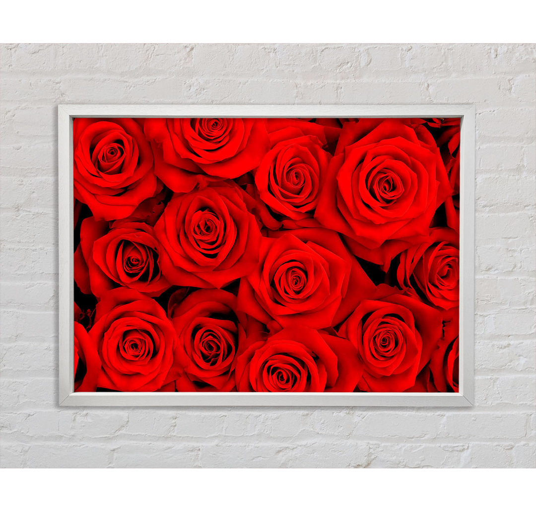 Lovely Roses For The One I Love - Einzelne Bilderrahmen Kunstdrucke auf Leinwand