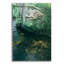 Art mural en verre Ebern Designs «Summer Stream Bank» par Ron Parker-1590639134