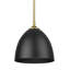 Luminaire suspendu en forme de dôme à 1 lumière Ringwood-70737879