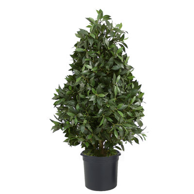 50'' Foliage Topiary in Pot Liner