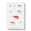 Selection Of Shrimp by Albert I - Wrapped Canvas Painting-55318205