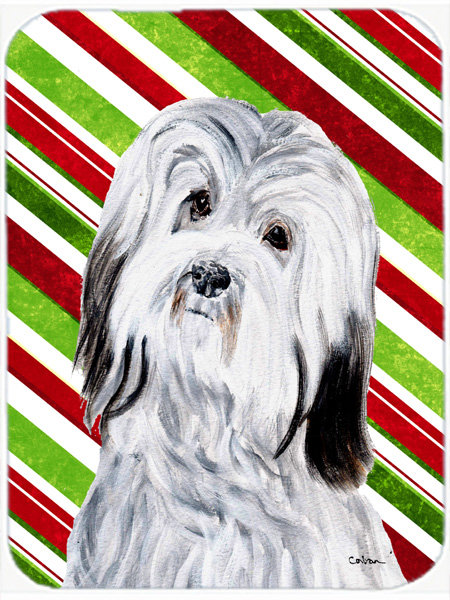 Planche à découper en verre de canne de Noël de Winston porter Havanese