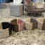 Customer photo 4 of 4