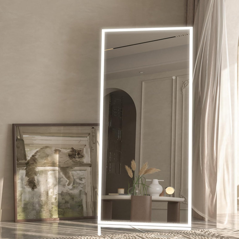 165x60cm Full Length Floor Standing Mirror with LED Light, Dimmable Color and Brightness Adjustable