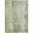 Machine Washable Indoor/Outdoor Claudian ACN1649 Sage Rug-104345724