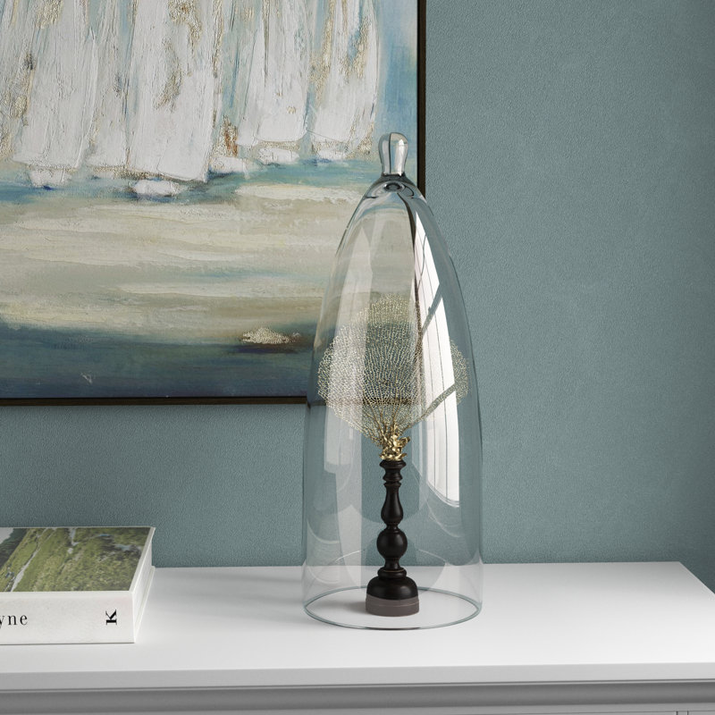  Cloche, Transparent
