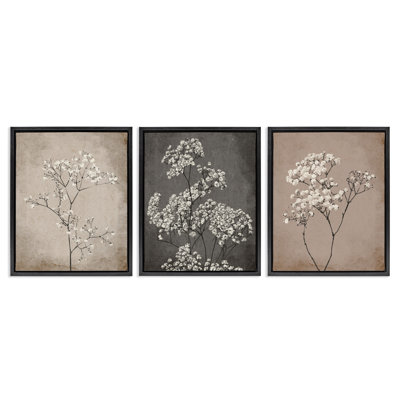 Botanical Baby's Breath Herbs 3 Piece Framed Floater Canvas Set by Ros Ruseva