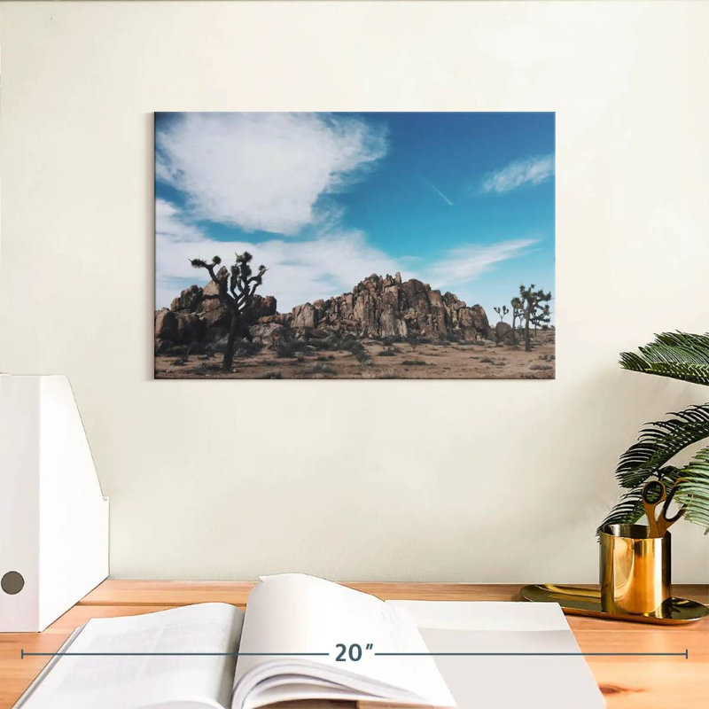 Nicci Joshua Tree Mastodon Peak, H 8 po x l 12 po