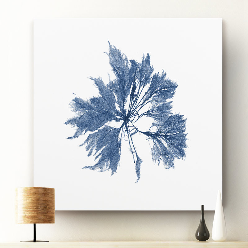 Marine Seaweed I - cadre photo, reproduction d'art sur toile, H 10 po x l 10 po x P 1,5 po, Toile tendue