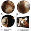 Printemps, renard mignon «S Gaze III», art mural animal en renard-1211948663