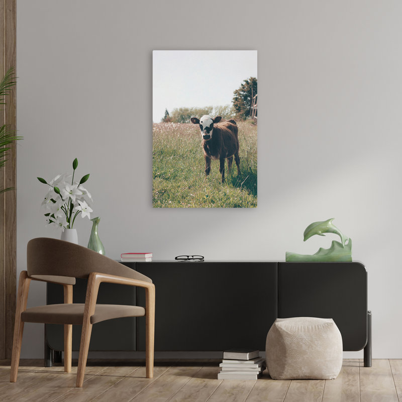 Lima - Photographie de paysages, animaux, vaches, art, H 36 po x l 24 po