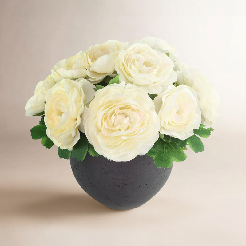 Ranunculus Arranged in Fiberstone Pot