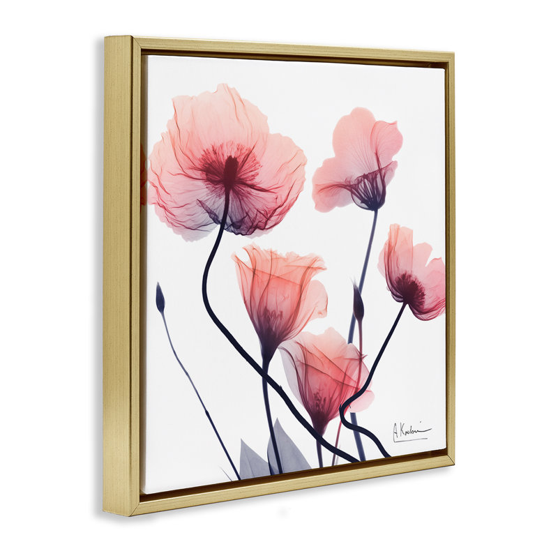 Cadre flottant rose chic avec fleurs simples, design par Albert Koetsier, H 25 po x l 25 po, Cadre flottant métallique doré