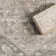 Wideman Oriental Power Loom Performance Silver Rug