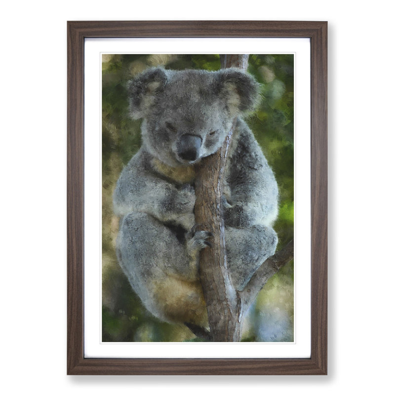 Koala Bear Vol.1 - Framed Print, Walnut Framed, 48cm H x 36cm W x 2cm D