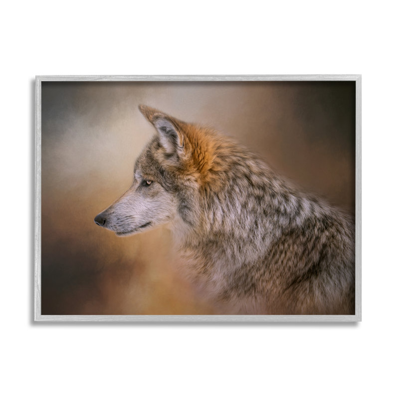 Portrait d'un loup de la faune - photographie, H 11 po x l 14 po x P 1,5 po, Estampe numérique Farmhouse