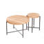 Ensemble 2 pièces tables basses et tables de bout-393530328
