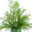 Mendell Faux Fern Plant in Ceramic Vase
