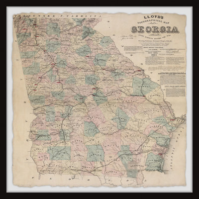 " Topographical Map Of Georgia "