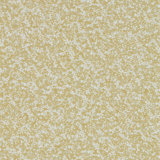 Coral Wallpaper