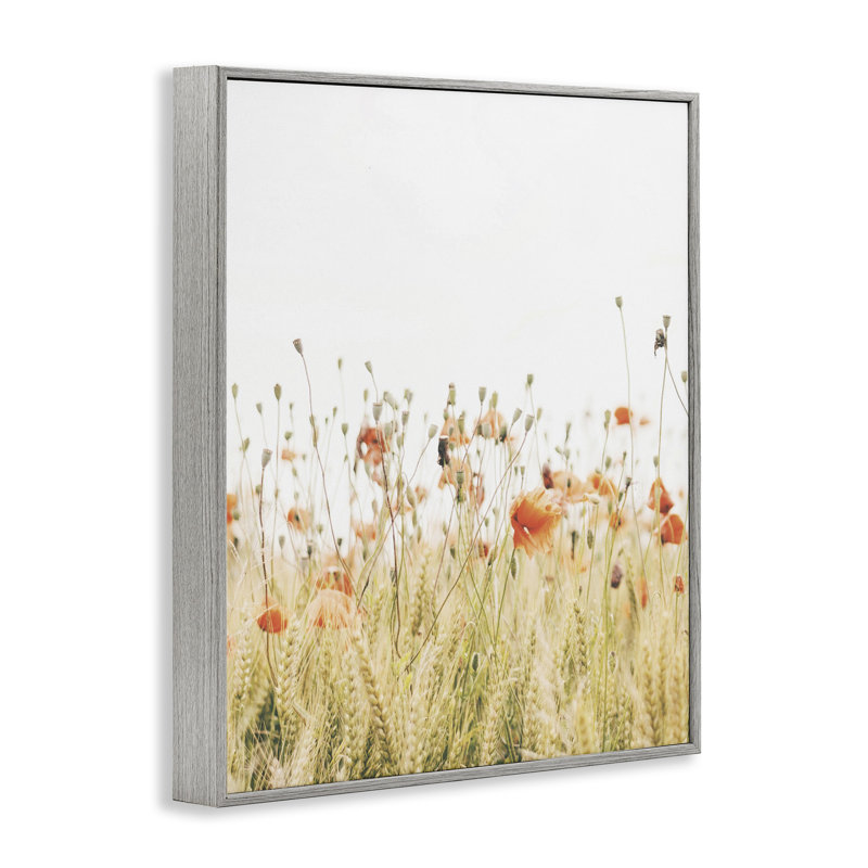 Az-316, impression de coquelicots encadrée, H 20 po x l 16 po x P 1,5 po, Estampe numérique Farmhouse