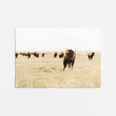 Motif de plaines sauvages