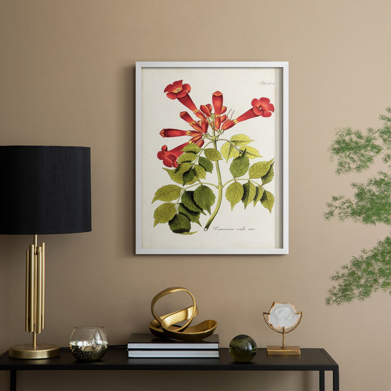 «Tropical Trumpet Flowers II», reproduction encadrée - bois massif, H 21 po x l 17 po, Blanc
