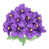 Violet is out of stock