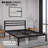 Cheshunt McInnes Platform Bed-284752718