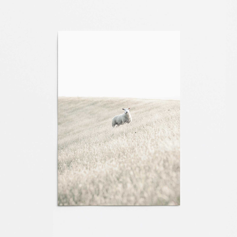 Serene Sheep Pasture, Papier, H 20 po x l 16 po x P 0,1 po