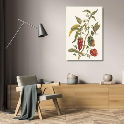 "Poivre D'Jnde" by  Maria Sibylla Merian - Gallery Wrap Canvas Wall Art