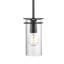 Luminaire suspendu transitionnel 1 lumière Devonshire-1853869387
