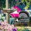 Plastic Stake Birdbath