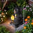 Chimpanzee and Dwarf Statues