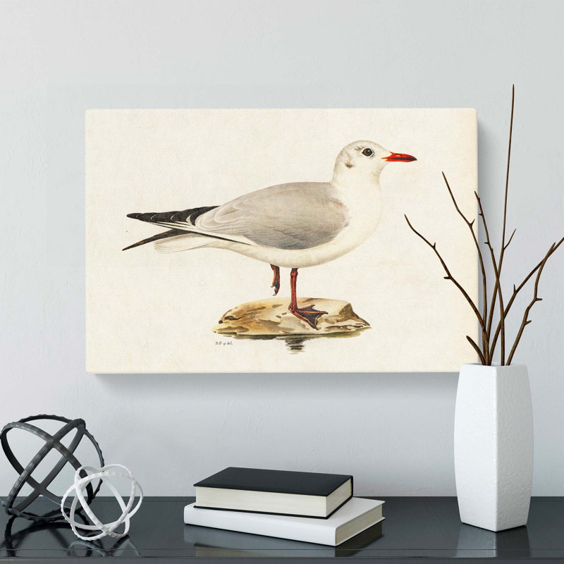 Black-Headed Gull by Von Wright - Wrapped Canvas, 50cm H x 76cm W x 3cm D