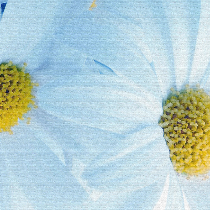 Print on Canvas, 100cm H x 150cm W x 2cm D