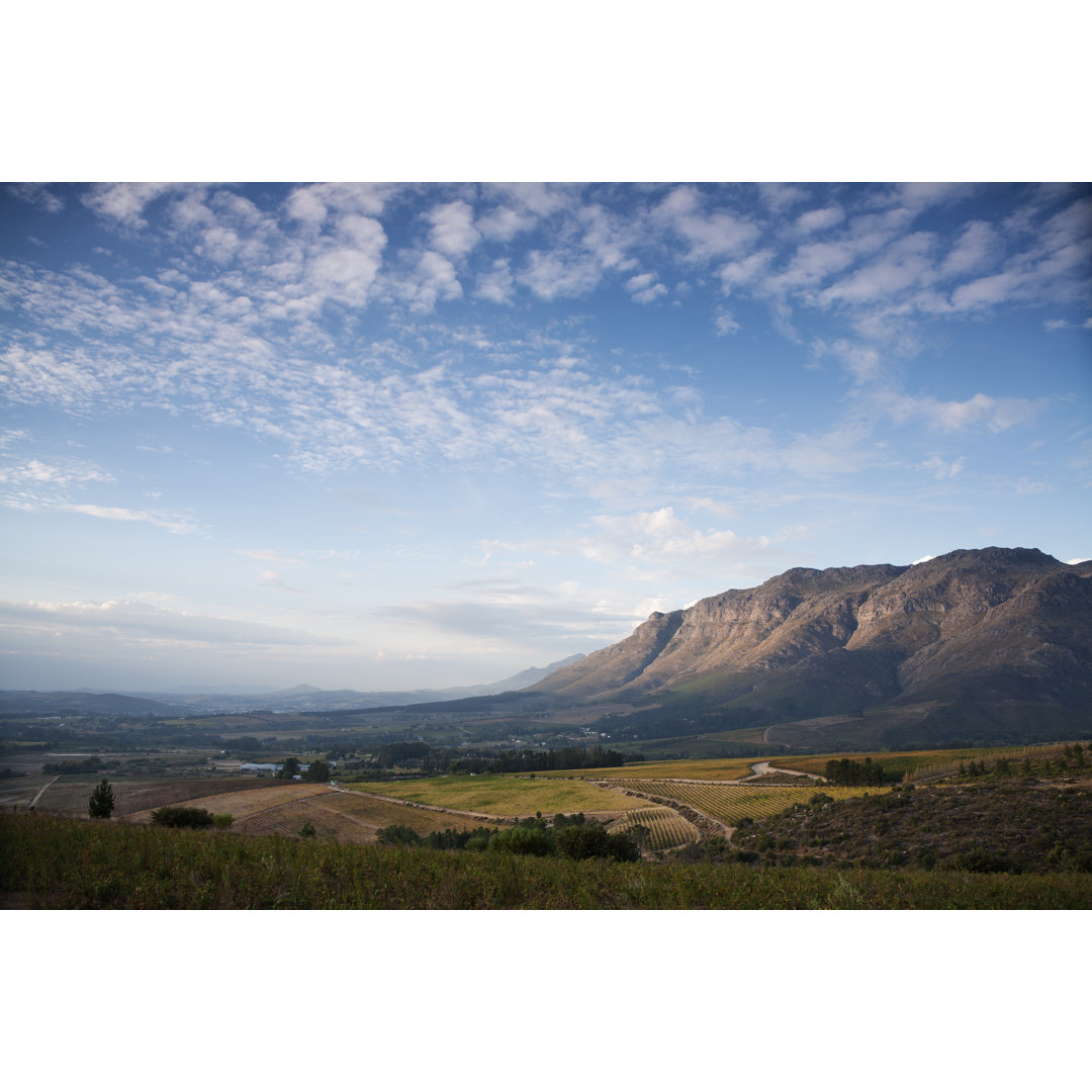 Winelands by Cookedphotos - Drucken