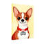Animaux Chihuahua mignon avec collier rouge et étiquette en os-1966485163-1966485166-1966485167