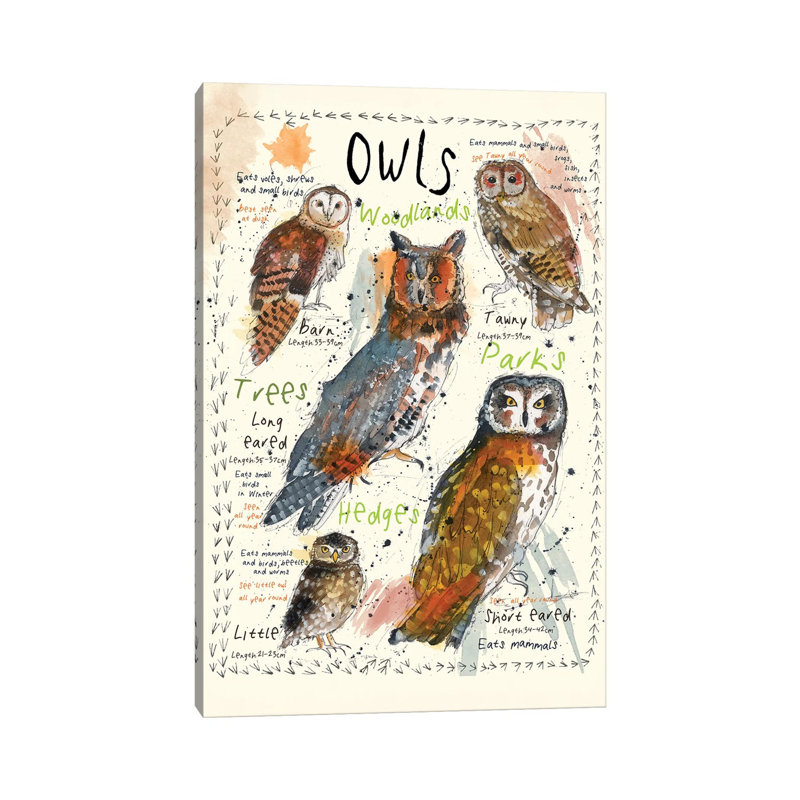 Owls by Michelle Campbell - Wrapped Canvas Gallery-Wrapped Canvas Giclée, 101.6 cm H x 66.04 cm W