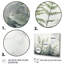 Ferns Silver Whispers II - fougères, impressions sur toile-886710287-886710387