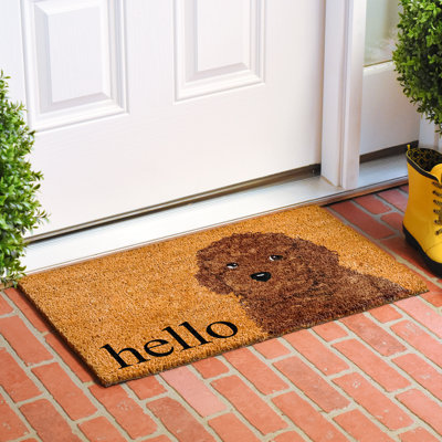 Non-Slip Doormat