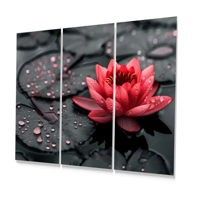 «Romantic Red Black Lotus Pond Photo II», ensemble d'art mural lotus