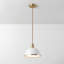 1 - Light Single Pendant-61610173