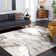 Ahanu Abstract Area Rug