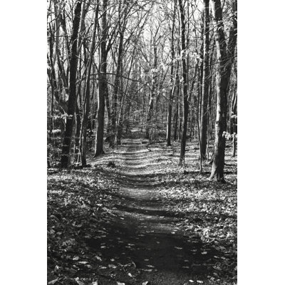 Through The Woods by Laura Marshall - Wrapped Canvas Print