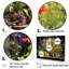Blooming Urban Harvest avec poteries I-84429035-84429025