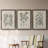 " Antique Black And White Botanical VII " 3 - Pieces-408395204-408395207